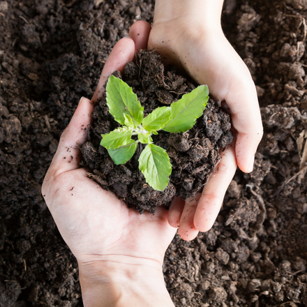 The 2017 EU One Health Action Plan against Antimicrobial Resistance